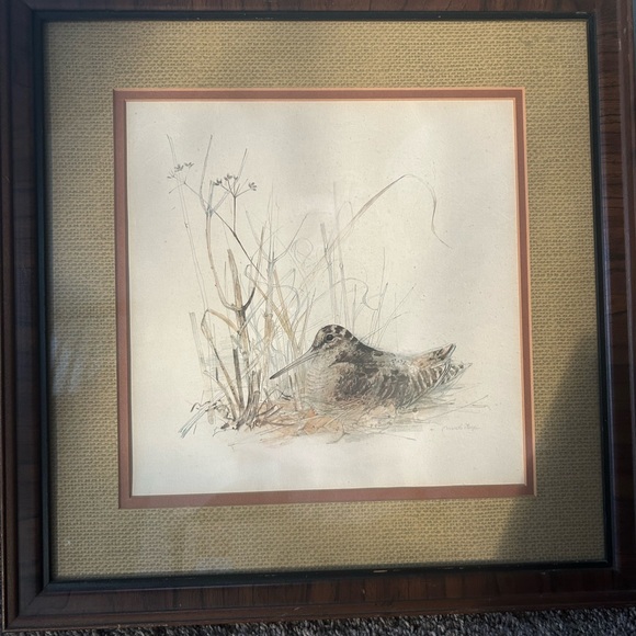 Woodcock painting by Mads Stage Danish Art